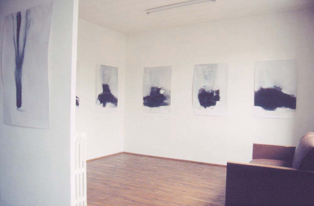 48h(X5) — photo 2
