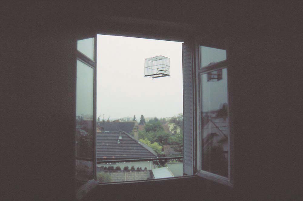 48h(X5) — photo 4