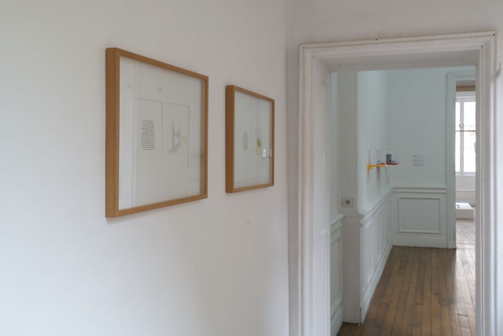 robert milin — photo 5