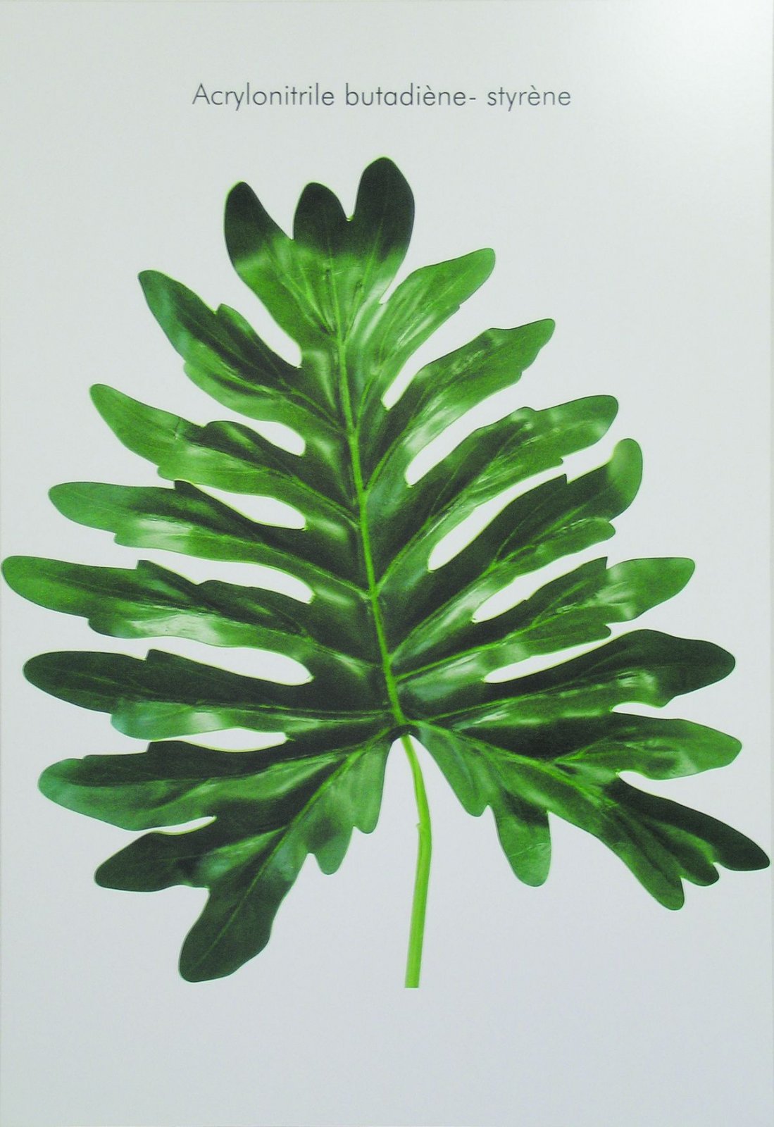 ACABIT — photo 6