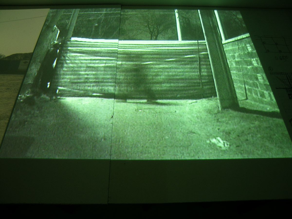 BLIND PROCESS — photo 6