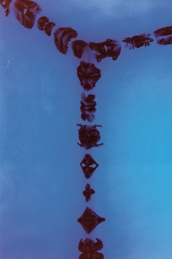 dorota sodovska — photo 3