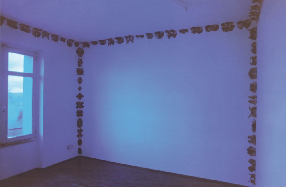 dorota sodovska — photo 2