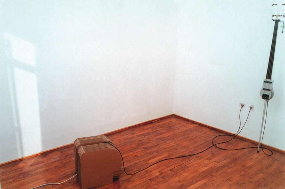 Frédéric Pintus — photo 1