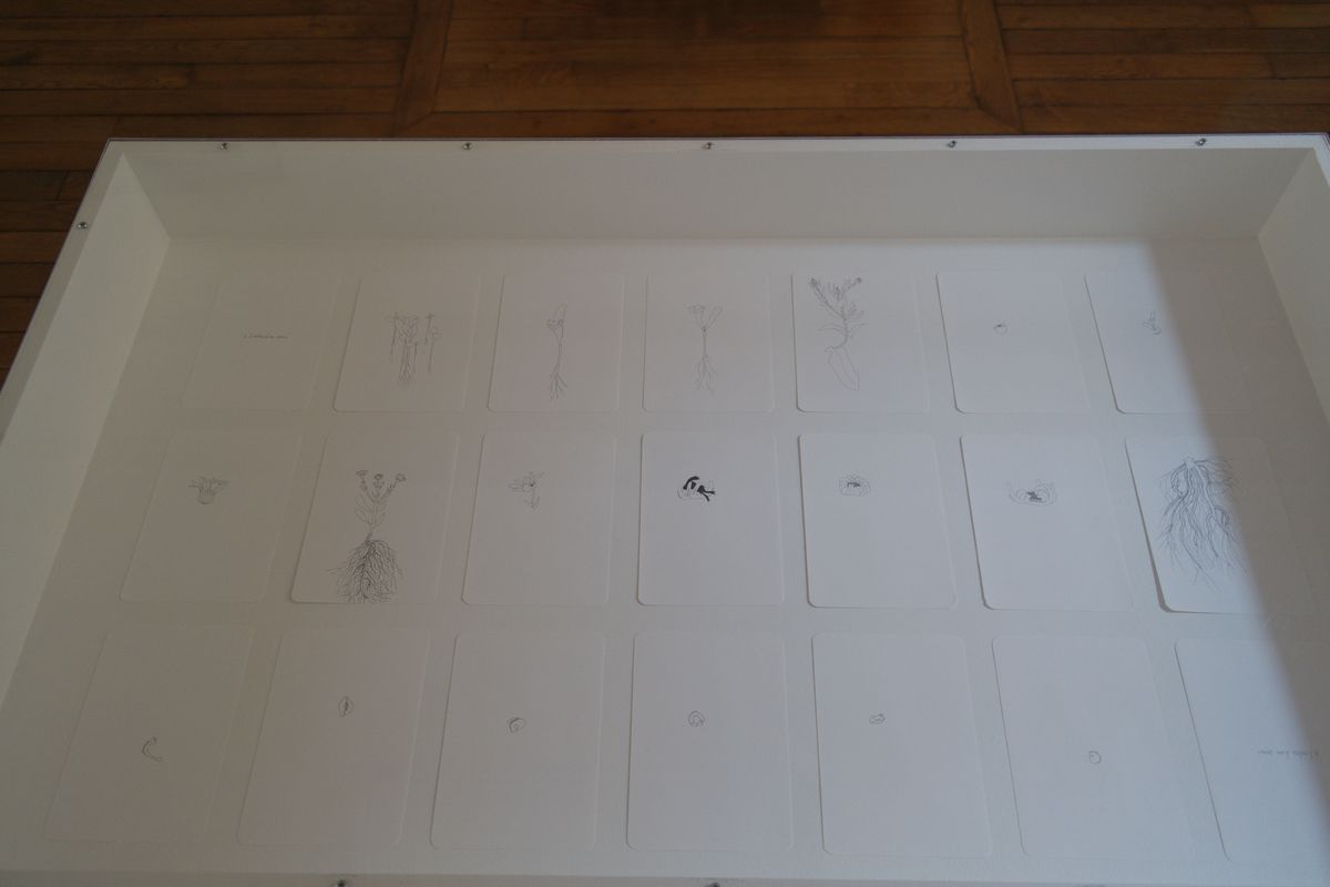 lise duclaux — photo 5
