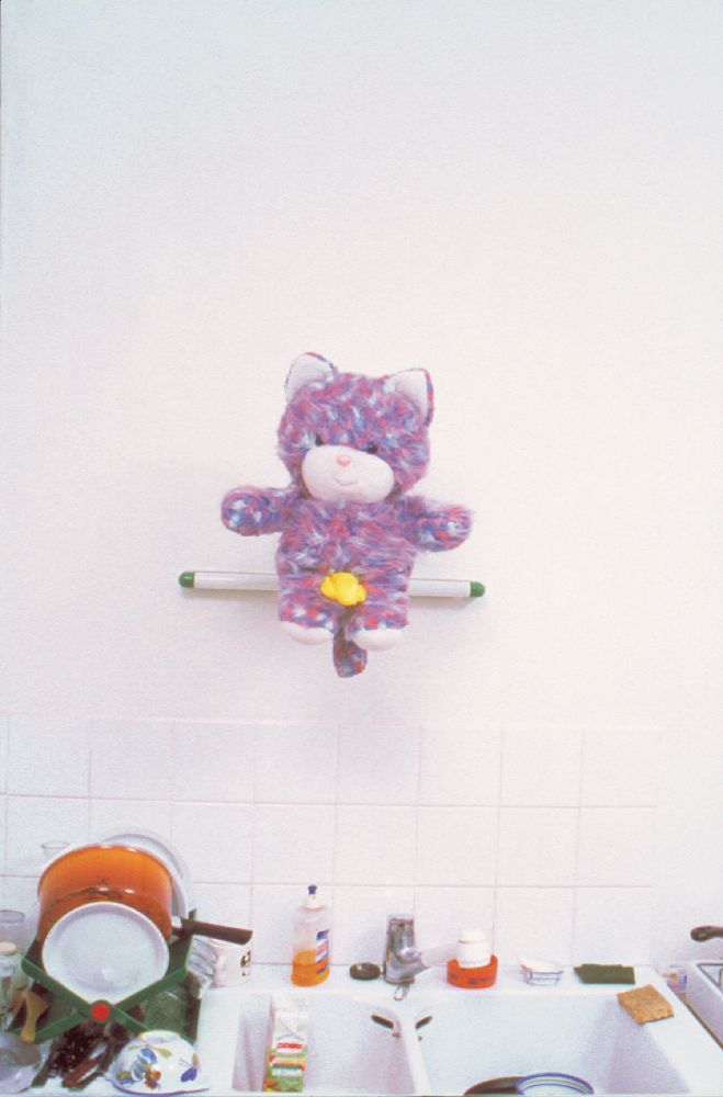 jérôme maigret — photo 3