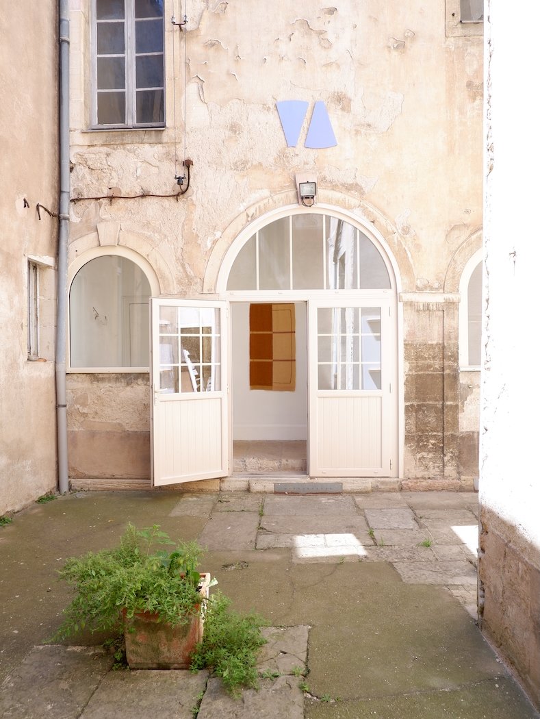lécher l’ours — photo 1