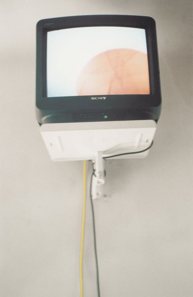 Luc Adami & Didier Dessus — photo 2