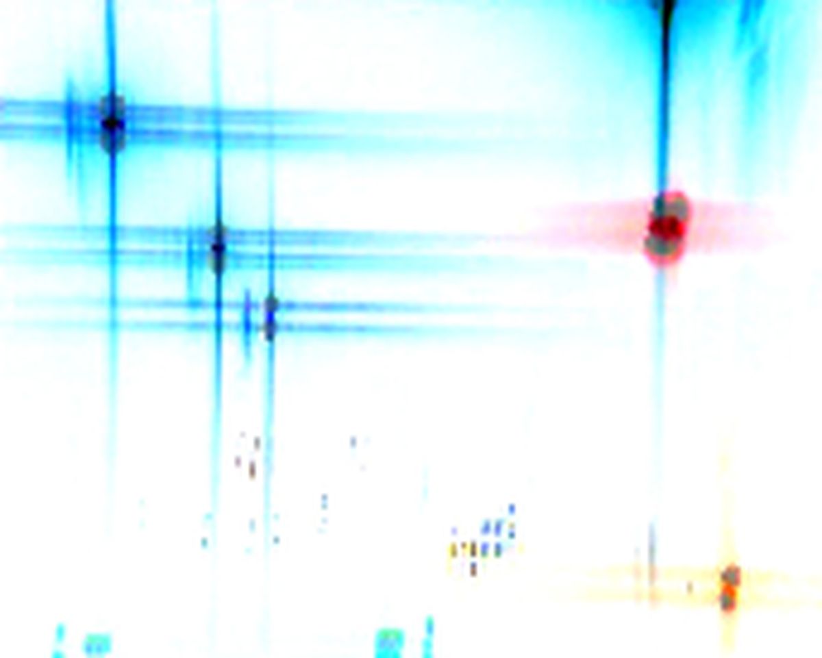 peinture & vidéo #1 — photo 5