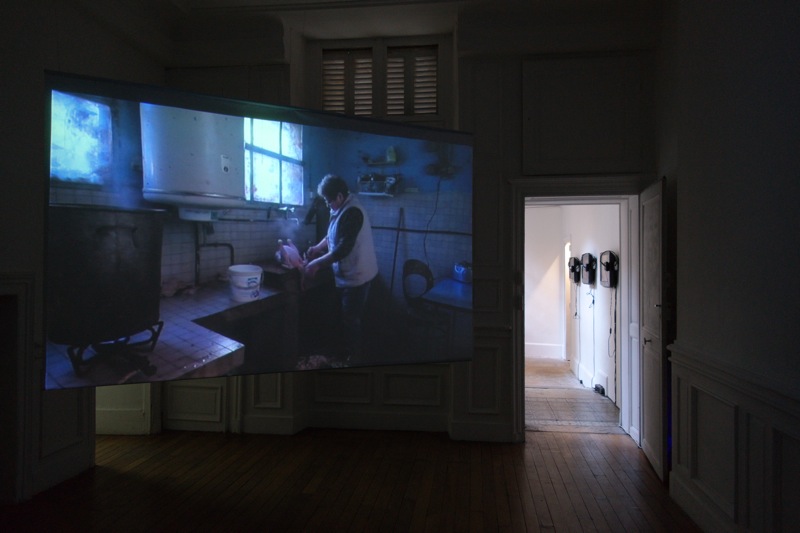 marine caloï, lola drubigny, fanny durand, lisa perrin, joy prundent — photo 5