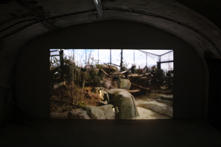 rémi groussin — photo 4