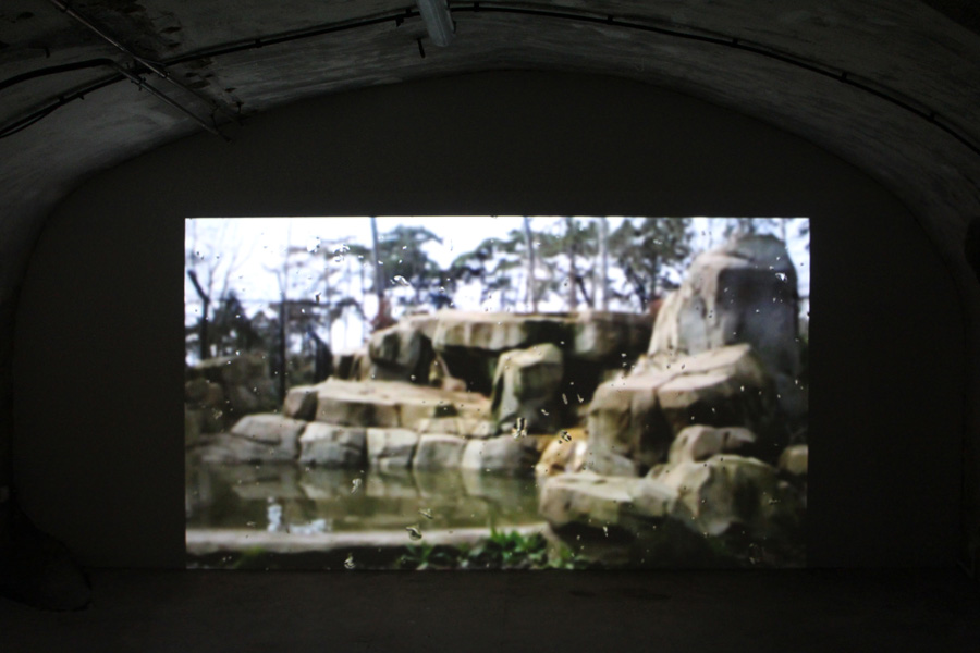 rémi groussin — photo 5