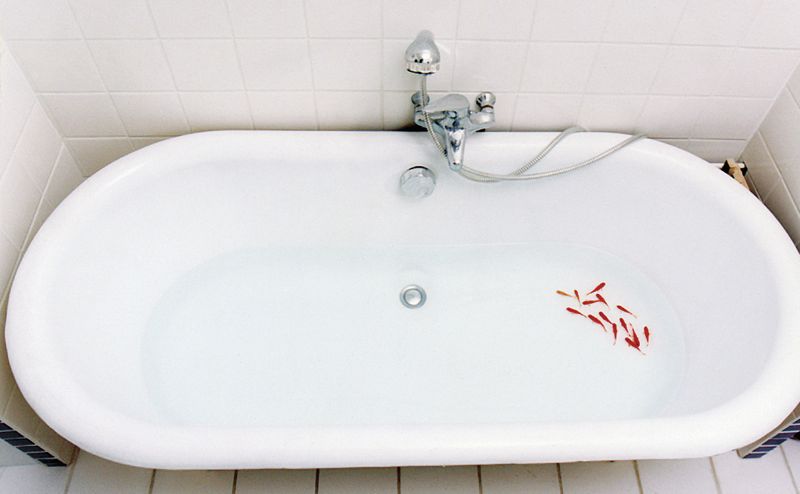 sophie lautru — photo 3