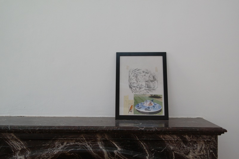 hannah dougherty — photo 3